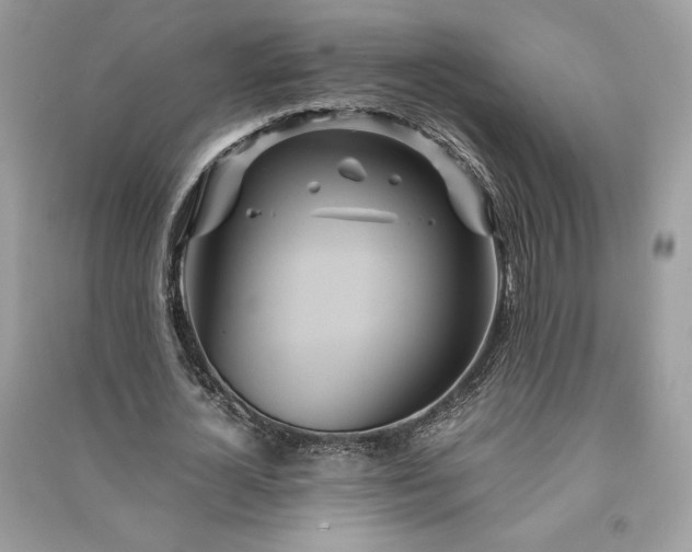 X0000090860724200708101219