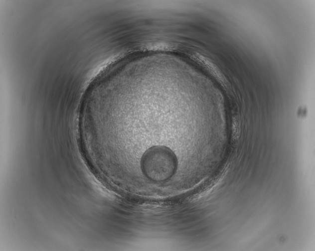 X0000090860725200708101219