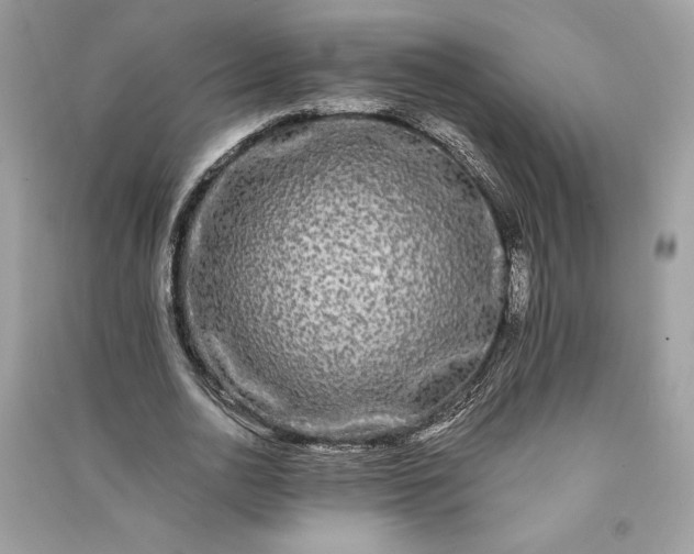 X0000090860726200708101219