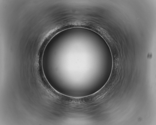 X0000090860727200708101219