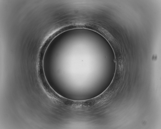 X0000090860728200708101219