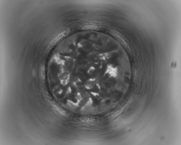 X0000090860729200708101219