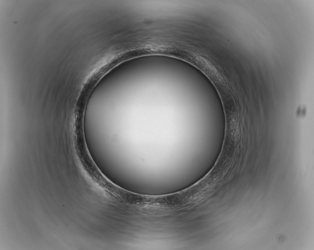 X0000090860730200708101219