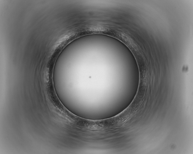 X0000090860731200708101219