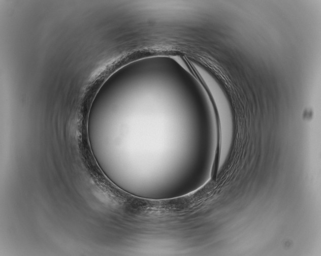 X0000090860732200708101219