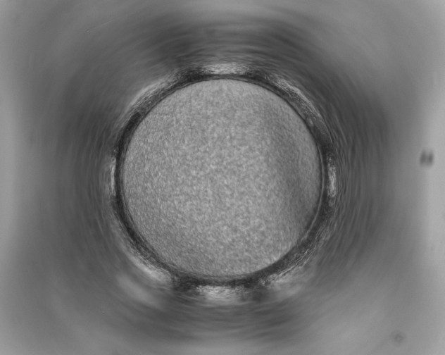 X0000090860733200708101219