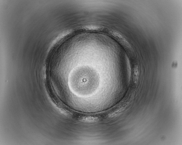 X0000090860734200708101219