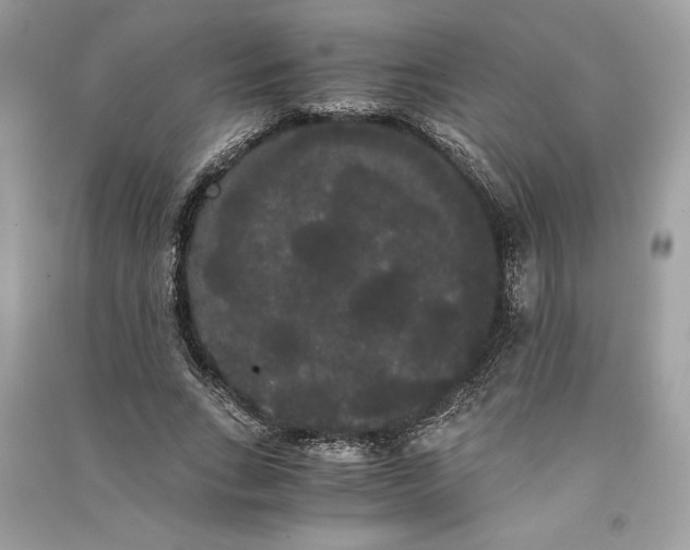 X0000090860735200708101219