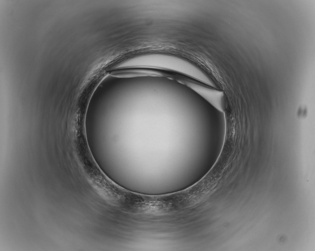 X0000090860736200708101219