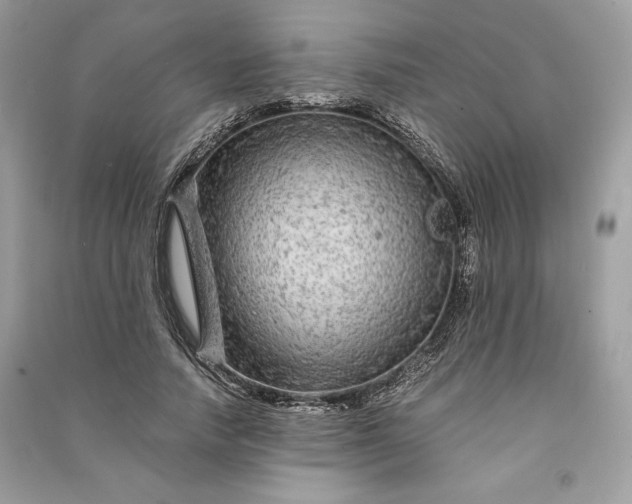 X0000090860738200708101219