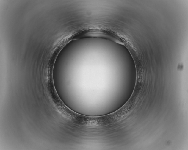 X0000090860740200708101219