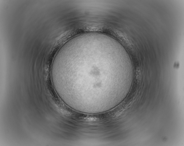 X0000090860741200708101219