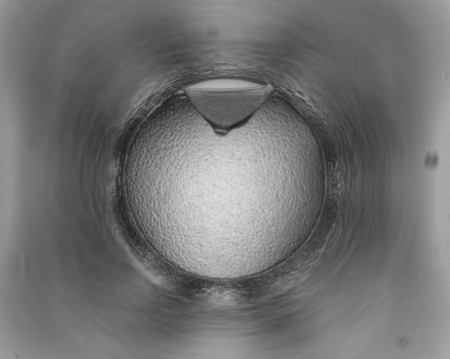 X0000090860742200708101219