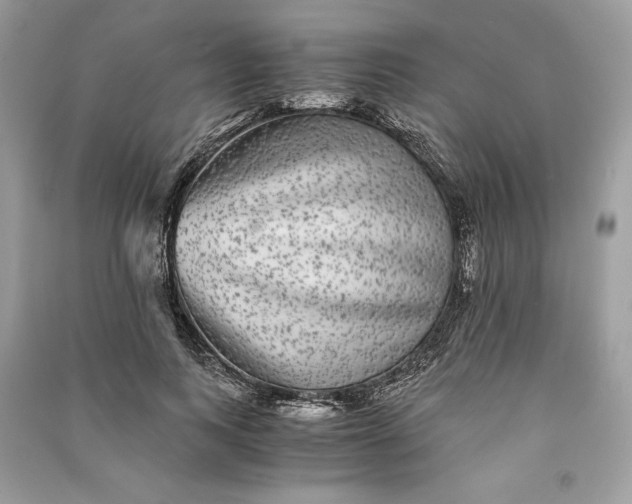 X0000090860743200708101219