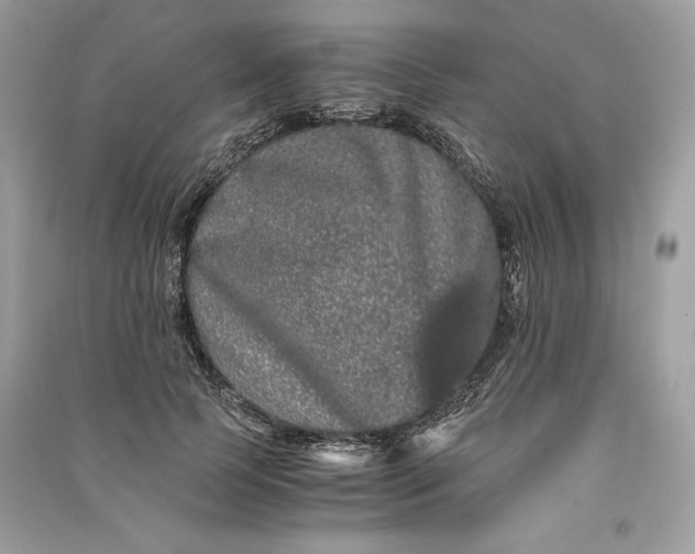 X0000090860745200708101219