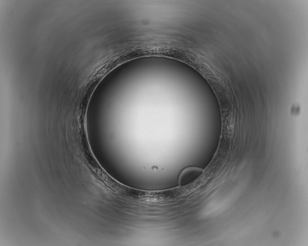 X0000090860746200708101219