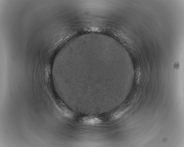 X0000090860747200708101219