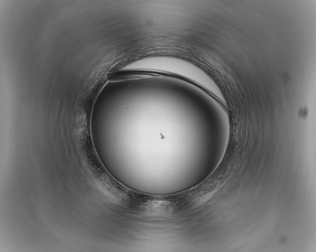 X0000090860748200708101219