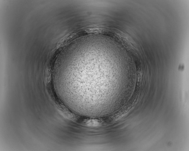 X0000090860751200708101219