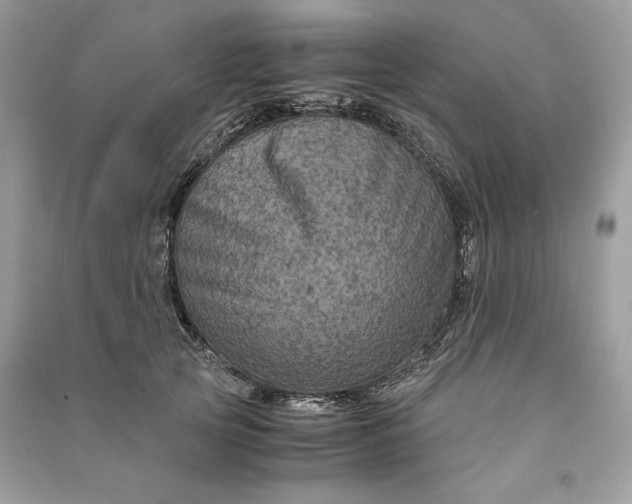 X0000090860753200708101219