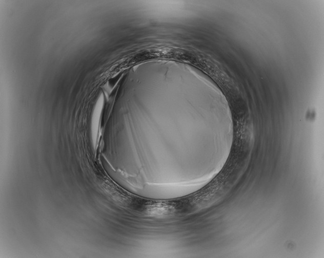 X0000090860754200708101219