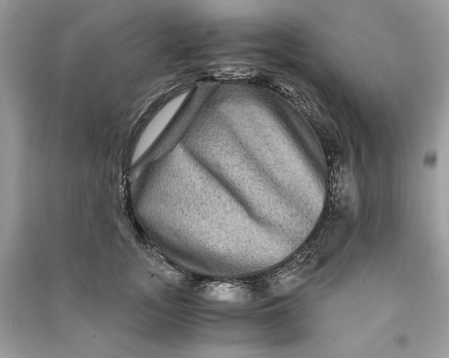 X0000090860755200708101219