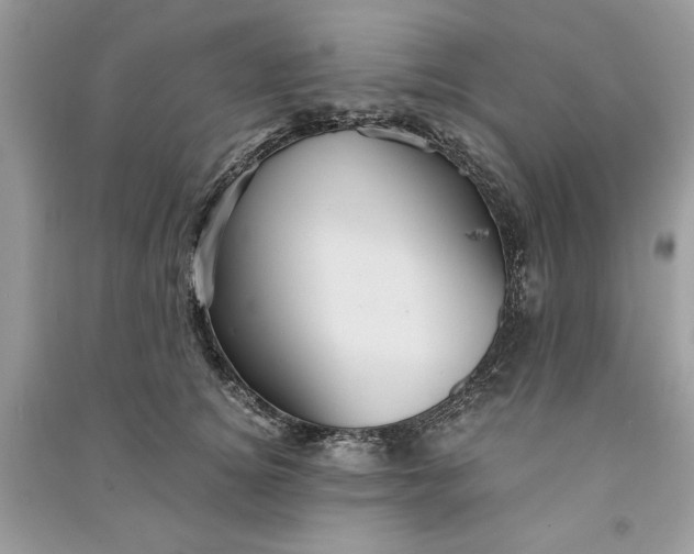 X0000090860756200708101219