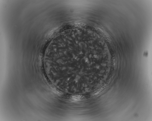 X0000090860757200708101219