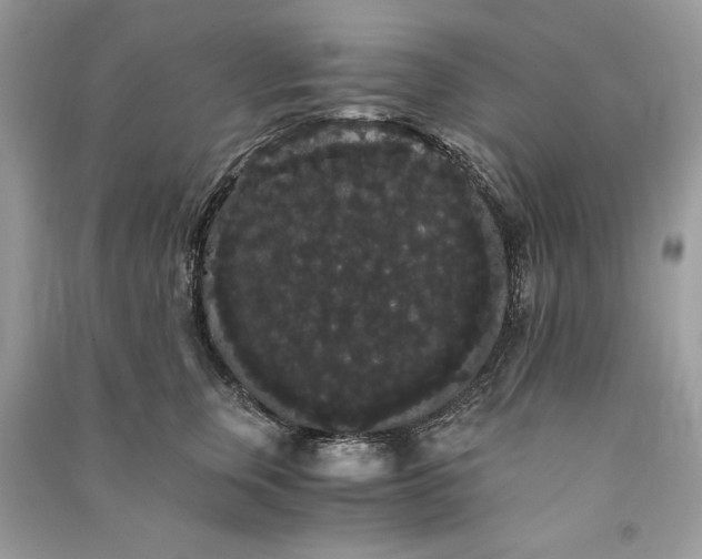 X0000090860759200708101219