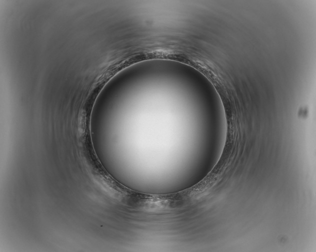 X0000090860760200708101219