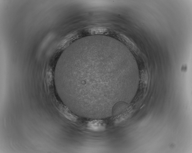 X0000090860761200708101219