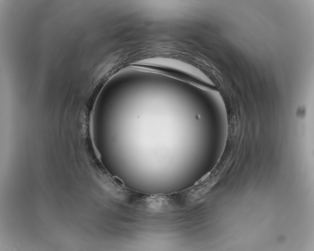 X0000090860762200708101219