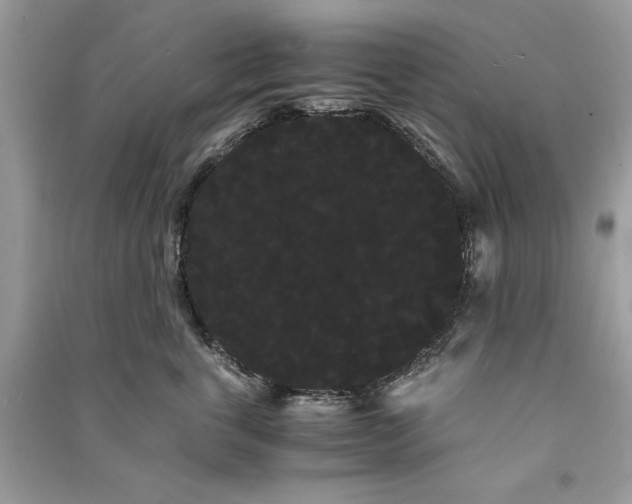 X0000090860763200708101219