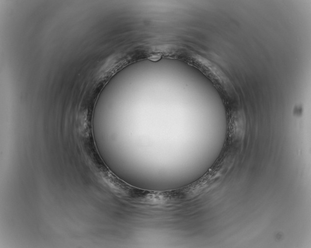 X0000090860764200708101219