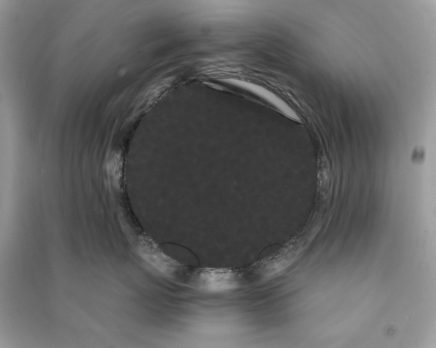 X0000090860767200708101219