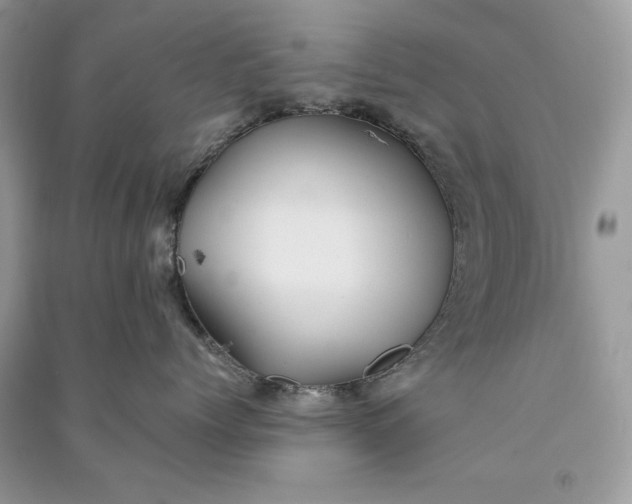 X0000090860768200708101219