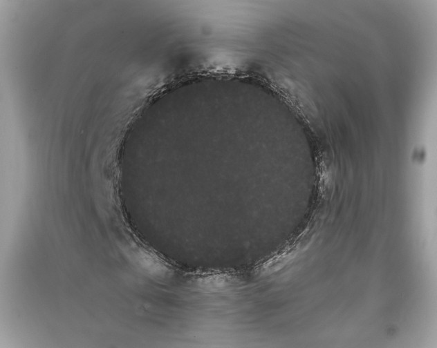 X0000090860769200708101219