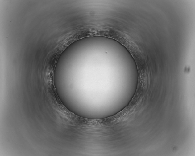 X0000090860770200708101219