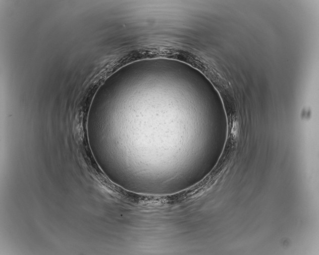 X0000090860771200708101219