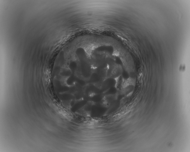 X0000090860772200708101219