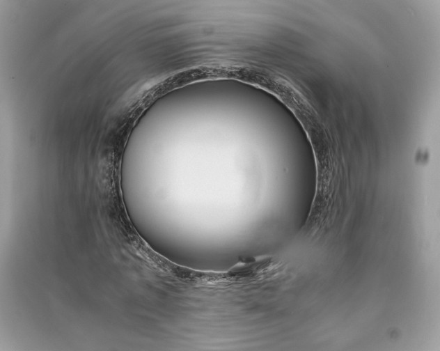 X0000090860773200708101219