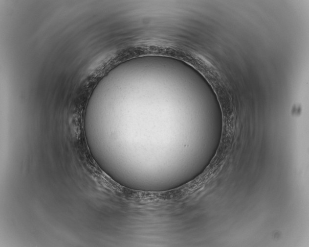 X0000090860774200708101219