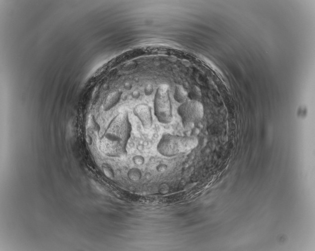 X0000090860775200708101219