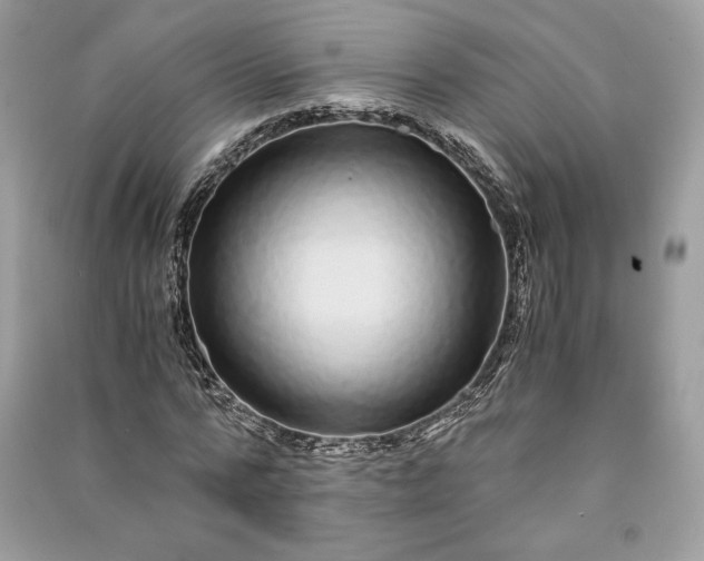 X0000090860776200708101219