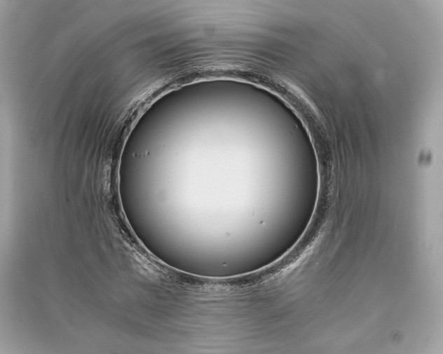 X0000090860777200708101218