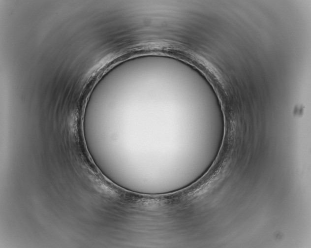 X0000090860778200708101218