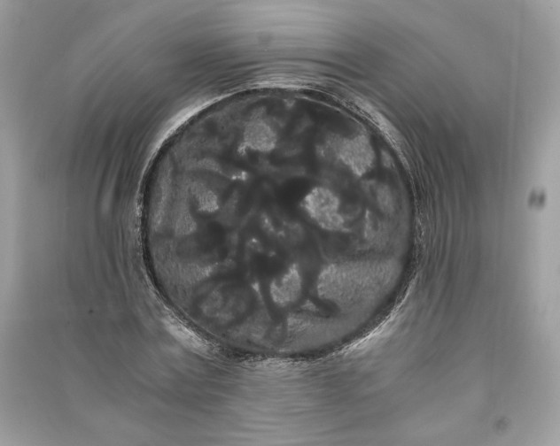 X0000090860779200708101218