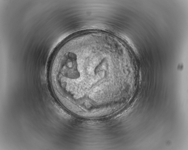 X0000090860780200708101218