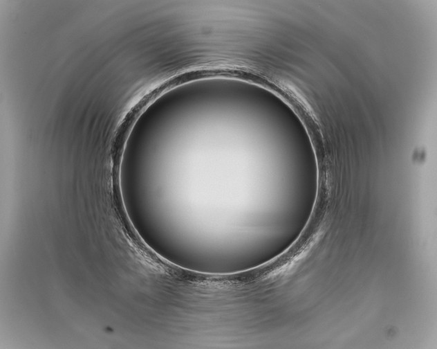 X0000090860781200708101218