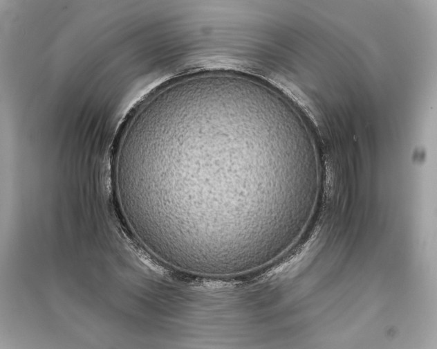 X0000090860782200708101218